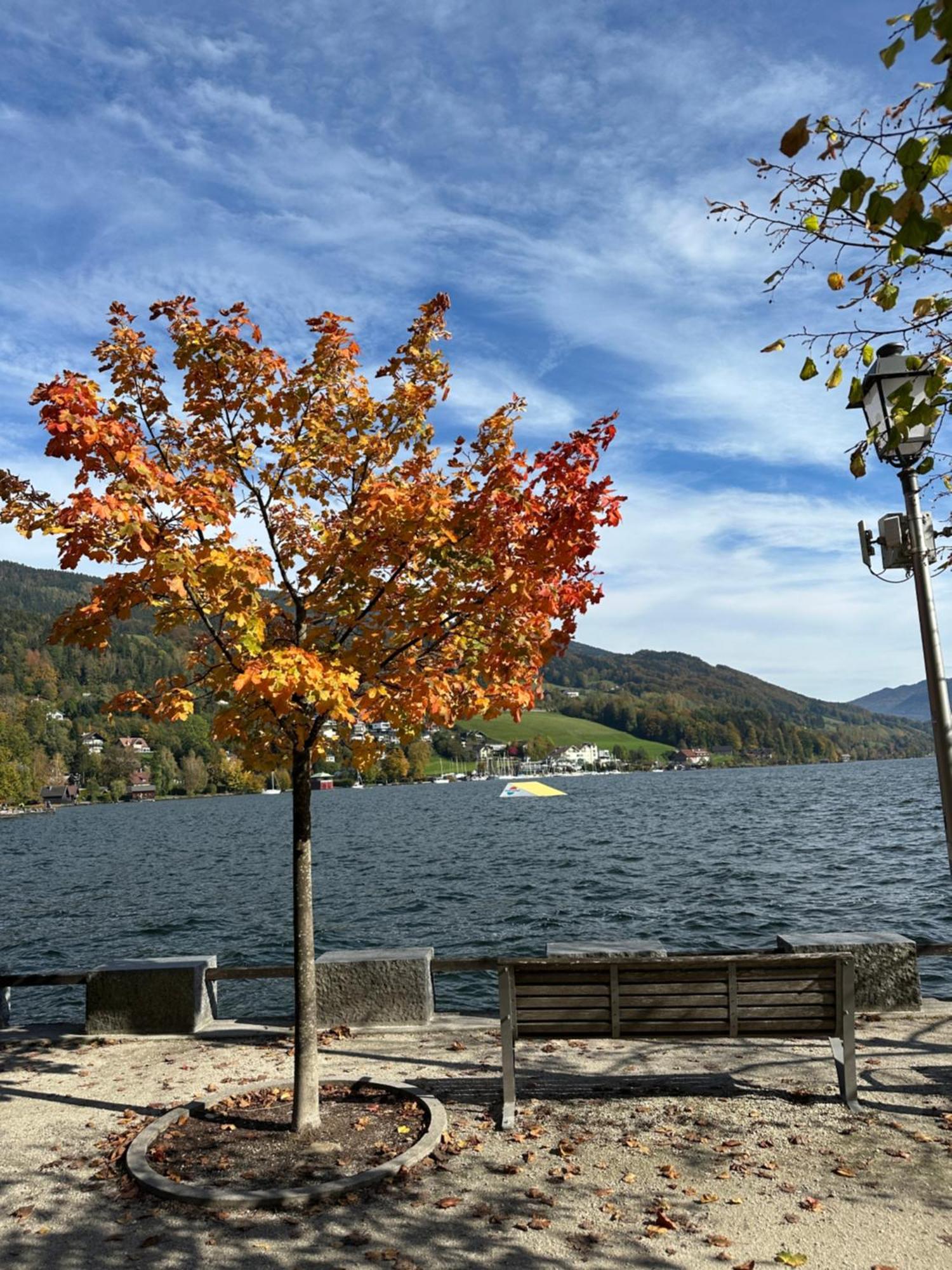 17Er Apartment Mit Sauna Und Privater Garage Mondsee Exteriér fotografie